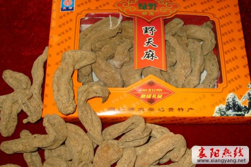 Ұ������