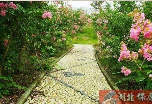 ��ޱ����