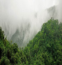 ��ɫ����2